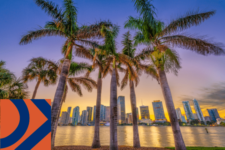Tall palm trees in the foreground with a city skyline and waterfront at sunset. There is an abstract geometric orange and blue shape in the lower left corner.