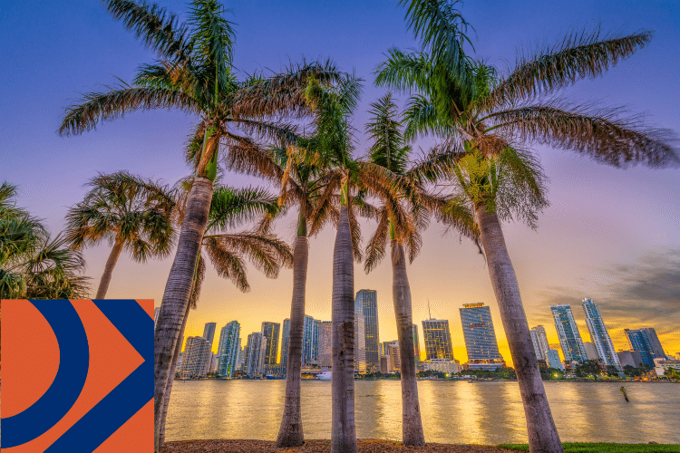 Tall palm trees in the foreground with a city skyline and waterfront at sunset. There is an abstract geometric orange and blue shape in the lower left corner.