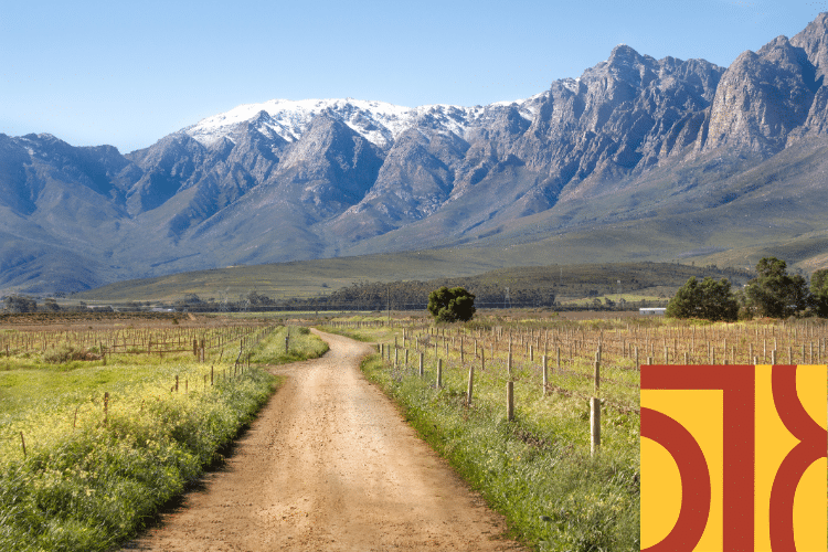 A dirt track runs through a vineyard with tall mountains in the background under a clear sky; a red and yellow geometric graphic is in the lower right corner.