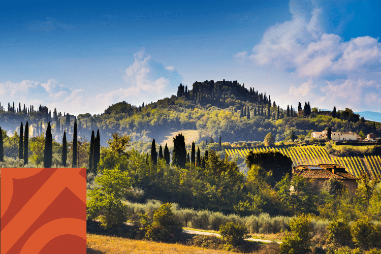 Hilly landscape with cypress trees, vineyards, and scattered buildings under a blue sky with clouds; a red geometric shape is in the lower left corner.