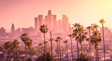 City centre Los Angeles skyline with tall palm trees in the foreground during a hazy sunset.
