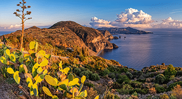 Coastal landscape with rocky hills, green vegetation, and prickly pear cacti in the foreground overlooking a calm sea under a partly cloudy sky at sunset.