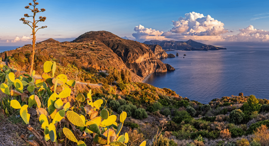 Coastal landscape with rocky cliffs, green vegetation, and prickly pear cacti in the foreground overlooking a calm blue sea under a partly cloudy sky at sunset.