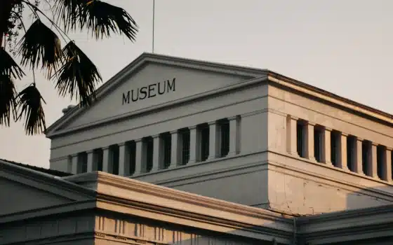 A white classical-style building with the word "MUSEUM" on its façade, illuminated by sunlight, with a tree branch partially visible in the foreground.