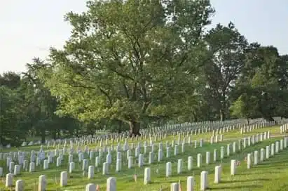 Rows of white headstones in a cemetery on a grassy hill, with a large tree and other greenery in the background.