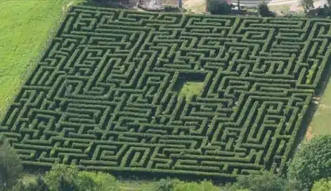 Aerial view of a large rectangular hedge maze with winding paths and a clear centre area, surrounded by grass and trees.