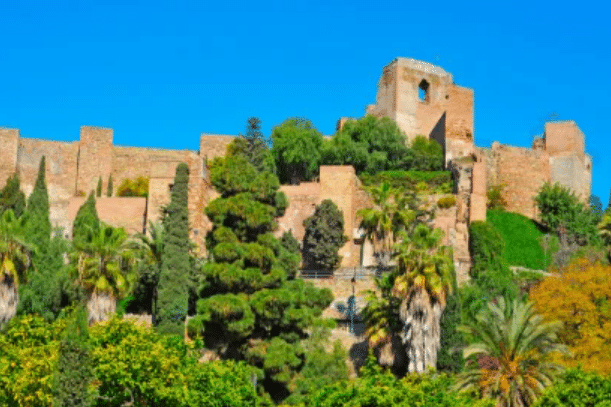 Ancient stone fortress with tall walls and towers, surrounded by lush green trees and palm trees under a clear blue sky.